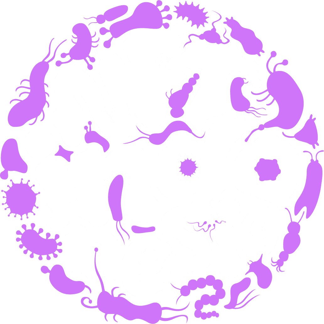 NFT Indonesia Logo